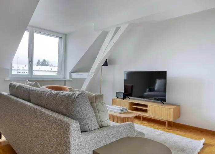 Synergy Badenstrasse Zürich